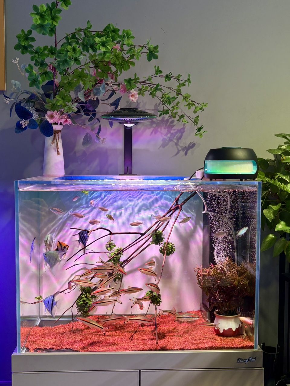 養(yǎng)魚庫(kù)存分享，魚庫(kù)存分享 養(yǎng)魚庫(kù)存分享，魚庫(kù)存分享 龍魚論壇 第1張