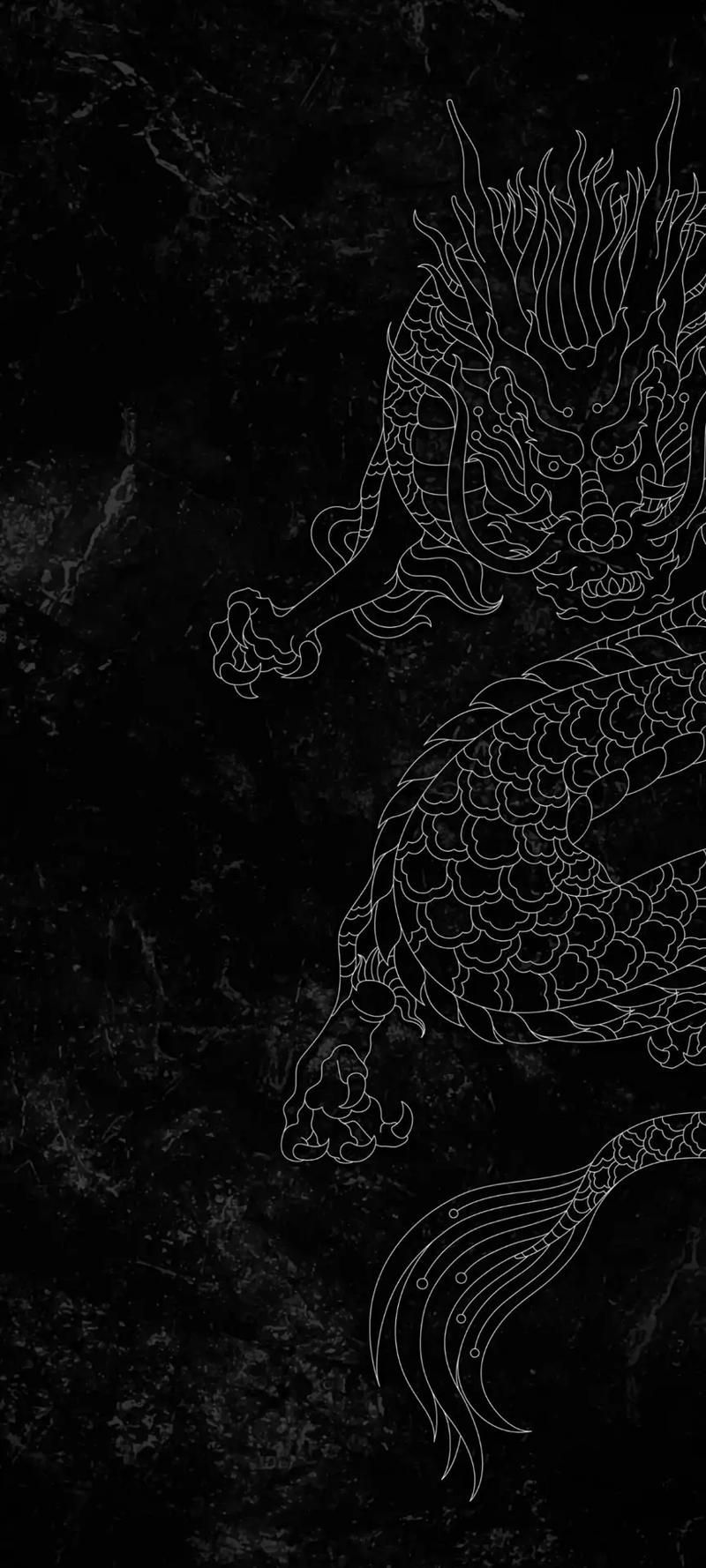 四角龍圖片作為壁紙高清版，“四角龍”高清壁紙獲取渠道清單，如何獲取四角龍高清壁紙 四角龍圖片作為壁紙高清版，“四角龍”高清壁紙獲取渠道清單，如何獲取四角龍高清壁紙 龍魚(yú)百科 第12張