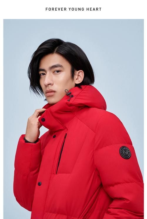 紅龍服飾有哪些經典款式，紅龍服飾的經典款式 紅龍服飾有哪些經典款式，紅龍服飾的經典款式 龍魚百科 第16張