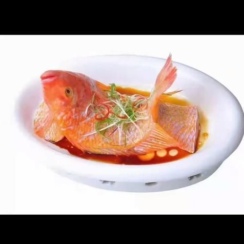 有哪些著名的深海紅龍魚(yú)品種，深海紅龍魚(yú)品種 有哪些著名的深海紅龍魚(yú)品種，深海紅龍魚(yú)品種 龍魚(yú)百科 第8張