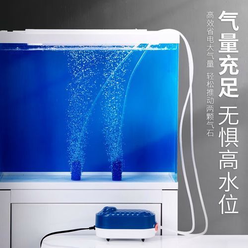 增氧泵哪種類型最好，增氧泵的類型
