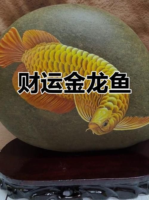 能提供幾張龍魚鎮(zhèn)宅的圖片嗎，龍魚鎮(zhèn)宅有哪些禁忌事項(xiàng)