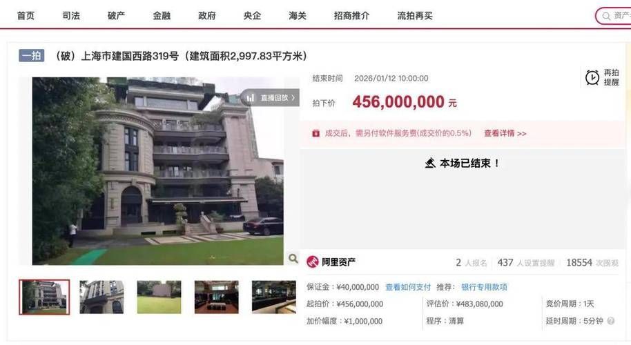 上海拍賣市場行情分析，上海拍賣市場2023–2025 上海拍賣市場行情分析，上海拍賣市場2023–2025 龍魚百科 第2張