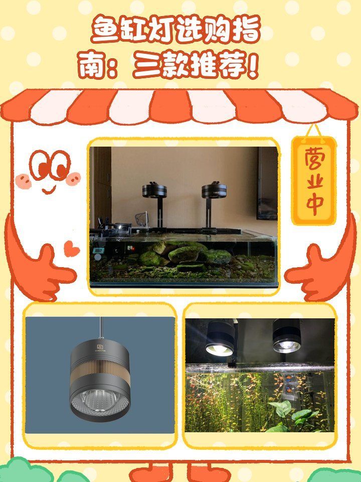 如何判斷龍魚(yú)缸燈的質(zhì)量，如何判斷魚(yú)缸燈的質(zhì)量