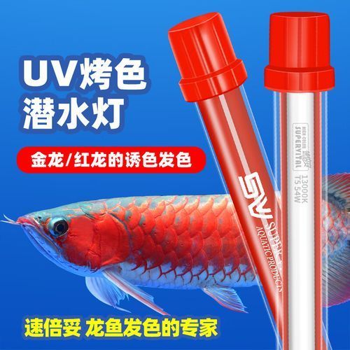 如何判斷龍魚(yú)缸燈的質(zhì)量，如何判斷魚(yú)缸燈的質(zhì)量
