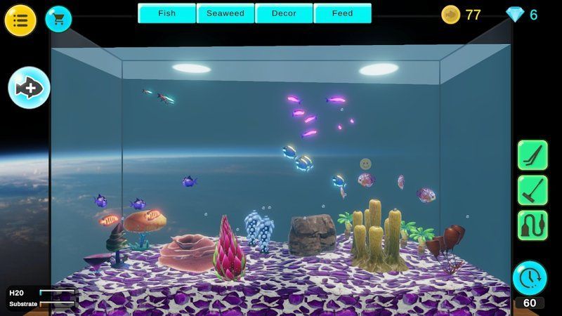 羅湖區有哪些知名的龍魚養殖基地？，深圳羅湖區的龍魚養殖基地