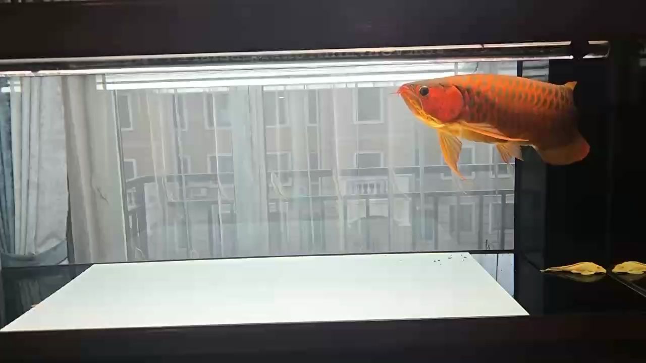 漂亮，“漂亮”不應(yīng)成為評價(jià)一個(gè)人的唯一標(biāo)準(zhǔn)