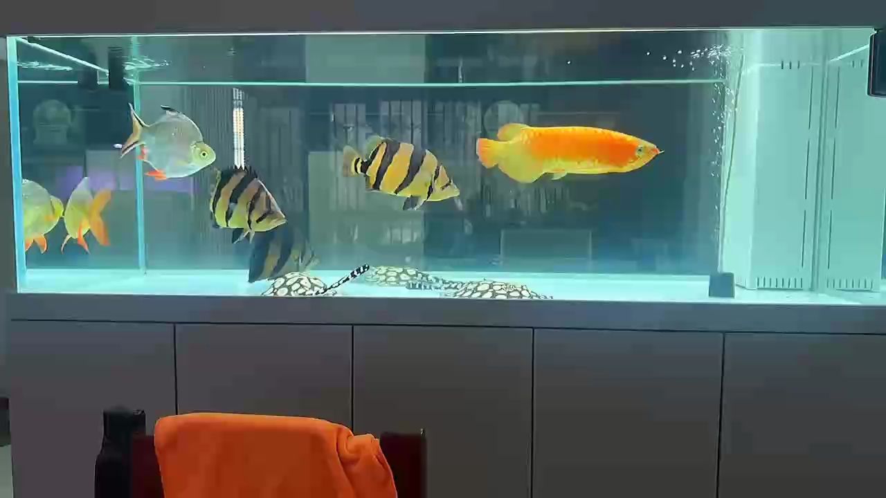 瞧一瞧，看一看，觀察的重要性