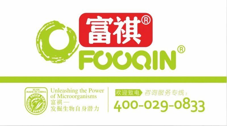 龍魚在世界其他地方的養殖情況，龍魚在全球范圍內的養殖情況在全球范圍內的養殖情況
