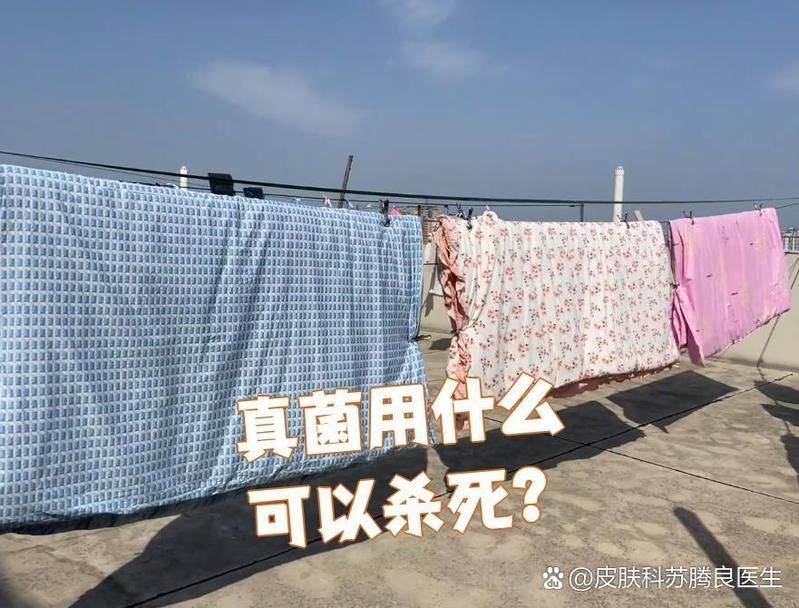 真菌在手上存活多久會死亡，「手部真菌在手上存活多久會死亡 真菌在手上存活多久會死亡，「手部真菌在手上存活多久會死亡 龍魚百科 第2張