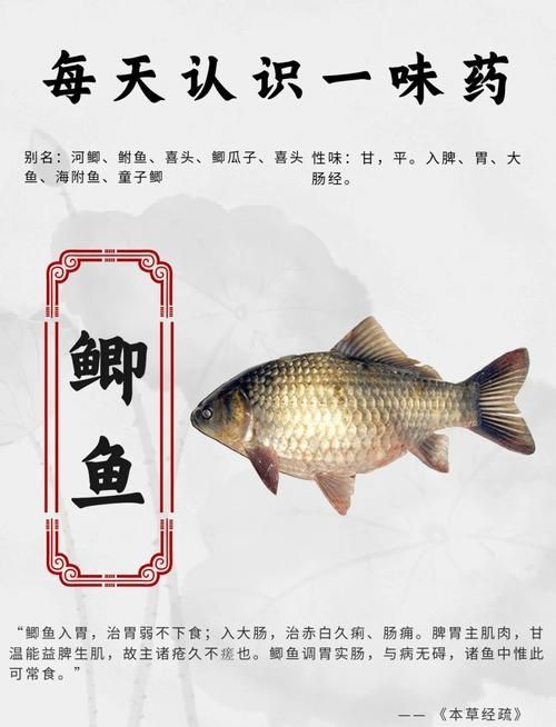 有哪些天然方法可以治療魚鰓蓋潰爛，天然方法治療魚鰓蓋潰爛
