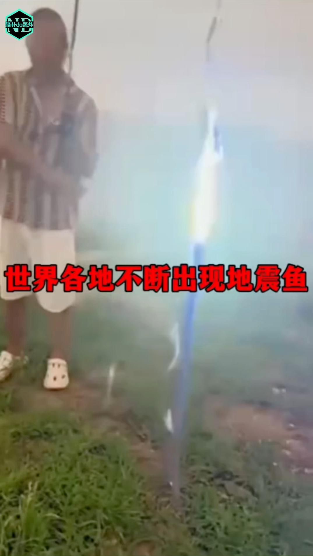 魚擋災(zāi)是否有科學(xué)解釋，魚擋災(zāi)是否存在科學(xué)依據(jù)