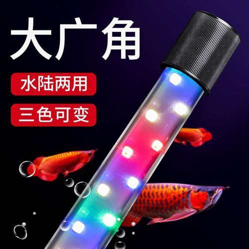 推薦幾款性價比高的龍魚燈日光燈，2026年高性價比龍魚燈日光燈推薦（2026年實測精選）