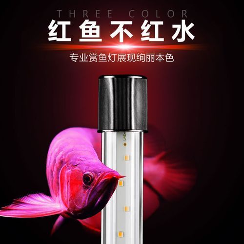 推薦幾款性價比高的龍魚燈日光燈，2026年高性價比龍魚燈日光燈推薦（2026年實測精選）