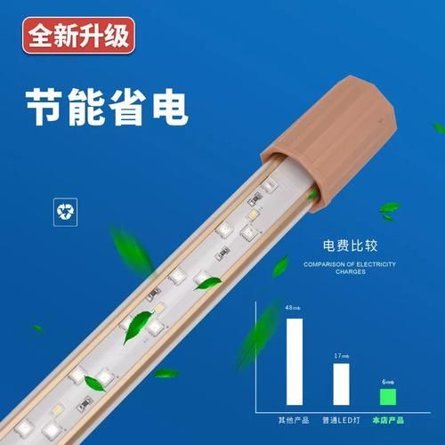 推薦幾款性價比高的龍魚燈日光燈，2026年高性價比龍魚燈日光燈推薦（2026年實測精選）