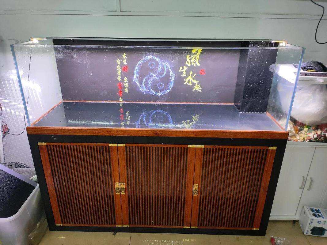 推薦幾款性價比高的龍魚燈日光燈，2026年高性價比龍魚燈日光燈推薦（2026年實測精選）