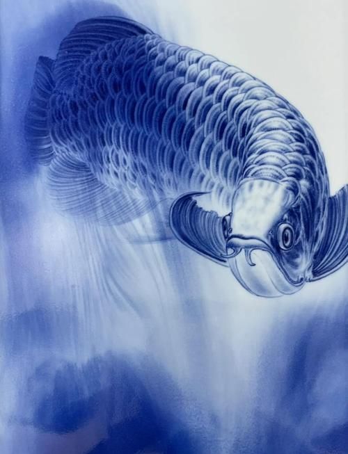 青花龍魚的價格是多少？，關于青花龍魚的價格問題