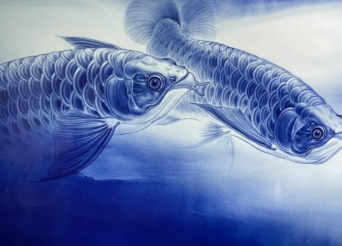 青花龍魚的價格是多少？，關于青花龍魚的價格問題