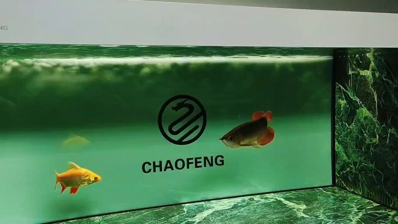 這個巖板不錯，史秀云評論：巖板的質量和性能，史秀云評論：多大尺寸了