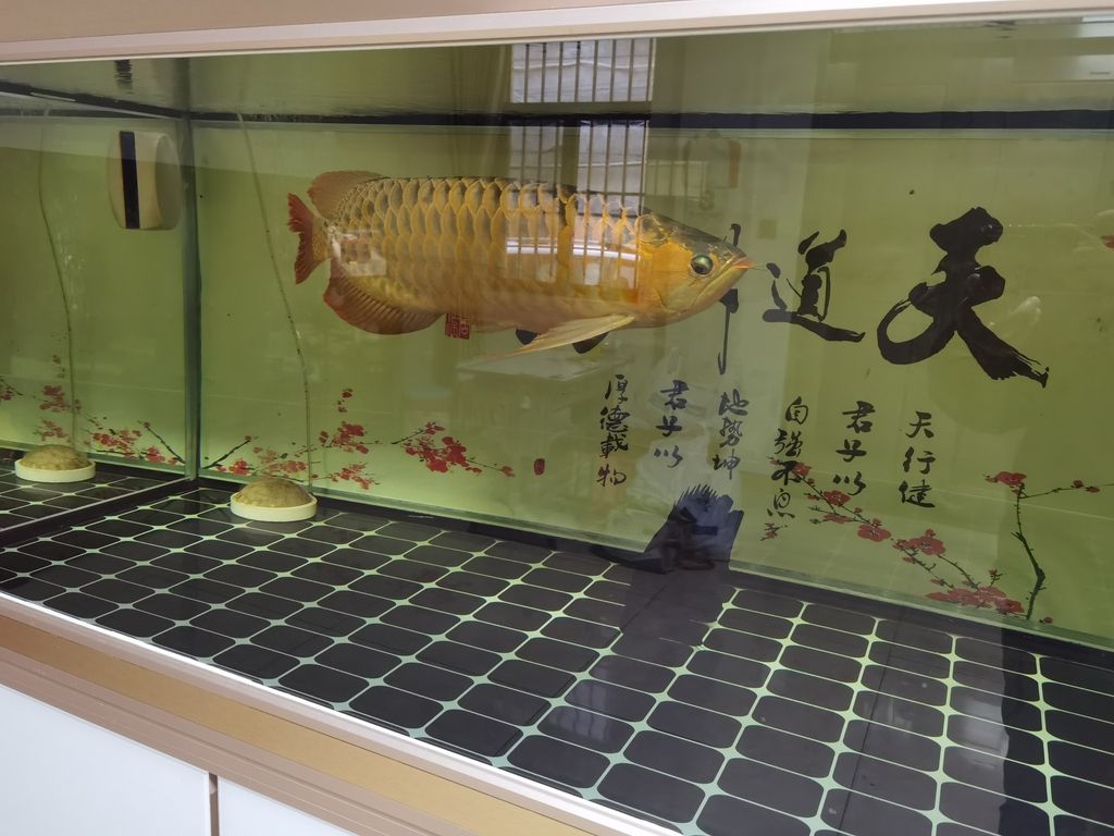 ，_人見人愛評論：ai與機器人融合的未來趨勢