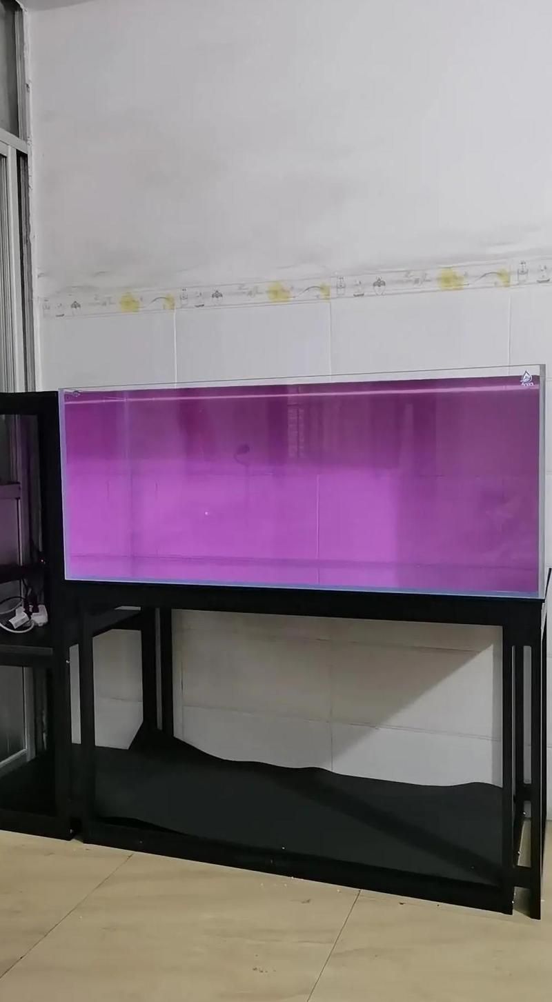 養魚需要哪些基本設備，養魚新手養魚必備清單+避坑指南 養魚需要哪些基本設備，養魚新手養魚必備清單+避坑指南 龍魚百科 第3張