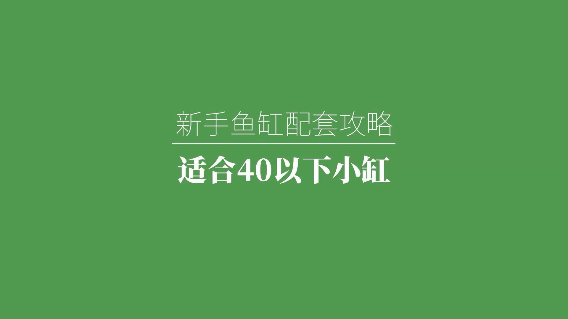 養魚需要哪些基本設備，養魚新手養魚必備清單+避坑指南 養魚需要哪些基本設備，養魚新手養魚必備清單+避坑指南 龍魚百科 第5張