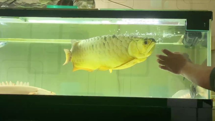 人生何處不相逢，何處不相逢