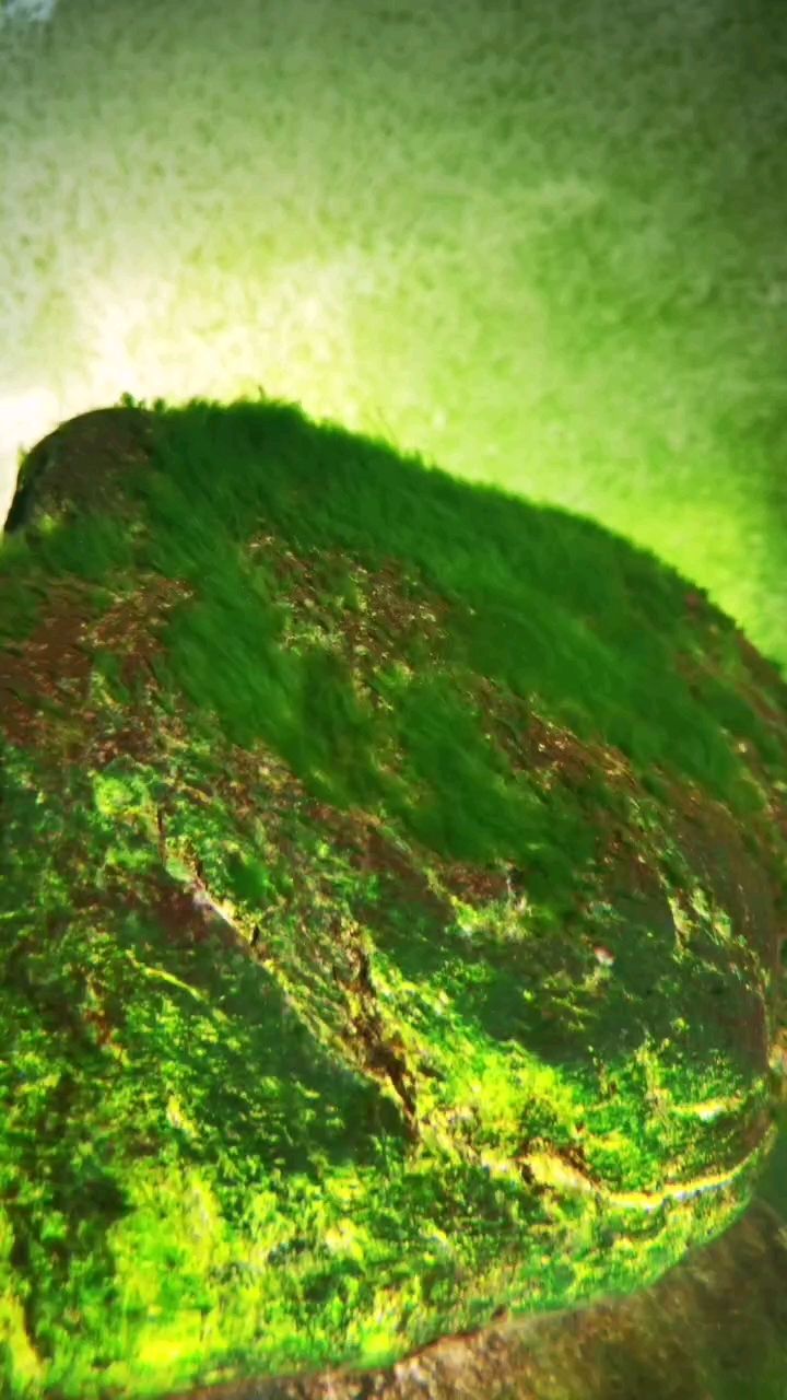 冒泡，泡排序是一種簡單的排序算法