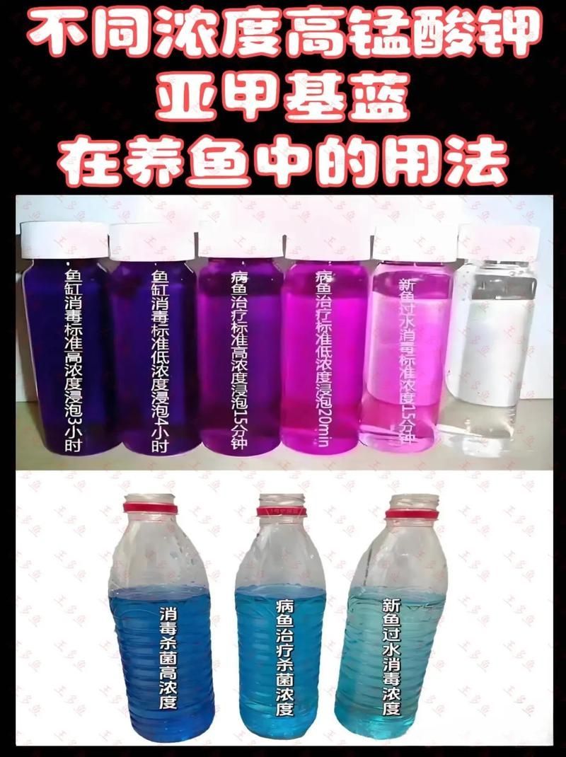 如何正確使用龍魚專用殺菌鹽?,龍魚專用殺菌鹽使用指南 龍魚百科 第4張 如何正確使用龍魚專用殺菌鹽?,龍魚專用殺菌鹽使用指南 如何正確使用龍魚專用殺菌鹽?,龍魚專用殺菌鹽使用指南 龍魚百科 第4張