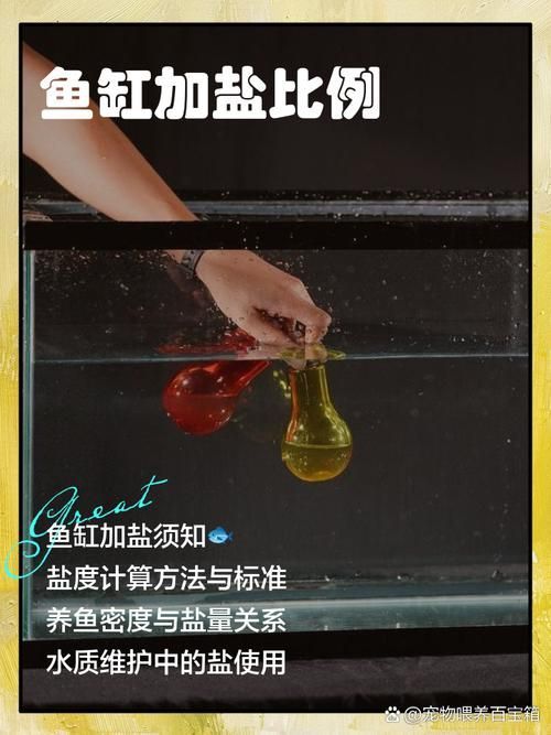 如何正確使用龍魚專用殺菌鹽?,龍魚專用殺菌鹽使用指南 龍魚百科 第2張 如何正確使用龍魚專用殺菌鹽?,龍魚專用殺菌鹽使用指南 如何正確使用龍魚專用殺菌鹽?,龍魚專用殺菌鹽使用指南 龍魚百科 第2張
