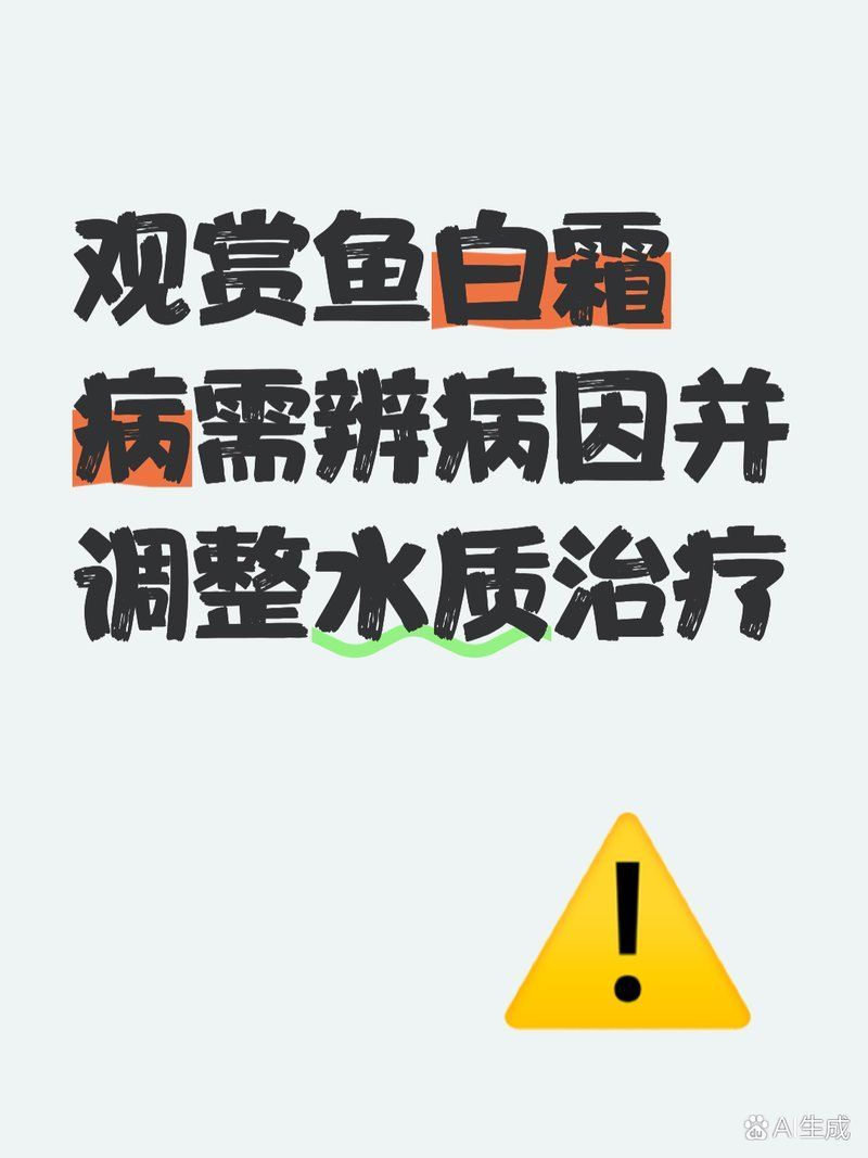 如何預防觀賞魚白霜病，寵物薯，觀賞魚身上長白霜怎么辦 如何預防觀賞魚白霜病，寵物薯，觀賞魚身上長白霜怎么辦 龍魚百科 第2張