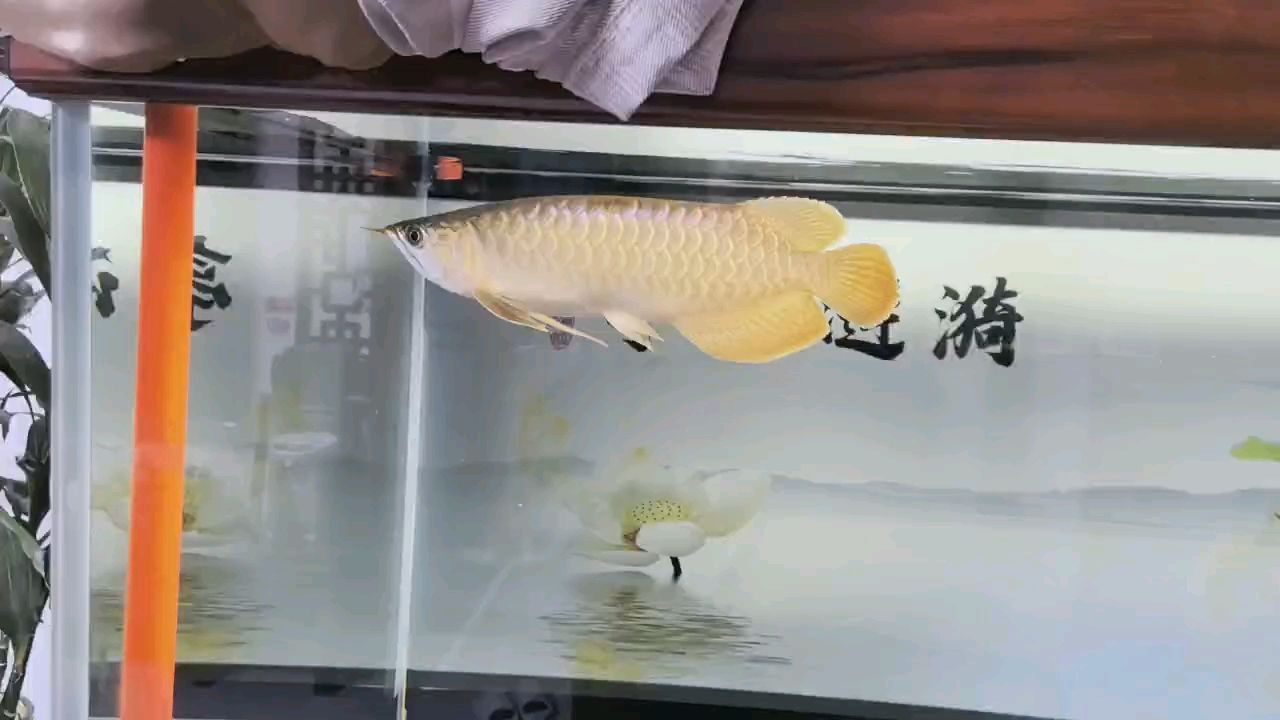 堅持愛好，堅持愛好對個人成長的影響