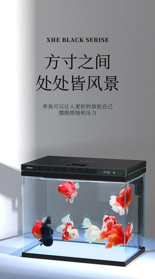 森森魚缸有哪些品牌推薦？，備受推崇的森森魚缸品牌推薦：森森魚缸-