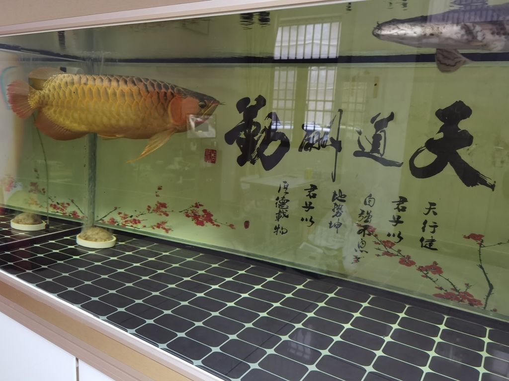 魚缸用增氧泵價格是多少:魚缸增氧機-xtrac增氧機-xtrac增氧機 ,ai在教育資源分配、課程內容開發和教師培訓方面的潛力 龍魚論壇 ,ai在教育資源分配、課程內容開發和教師培訓方面的潛力 ,ai在教育資源分配、課程內容開發和教師培訓方面的潛力 龍魚論壇