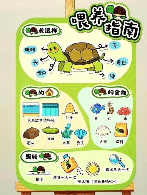 現代養龜文化有哪些新特點，現代養龜文化