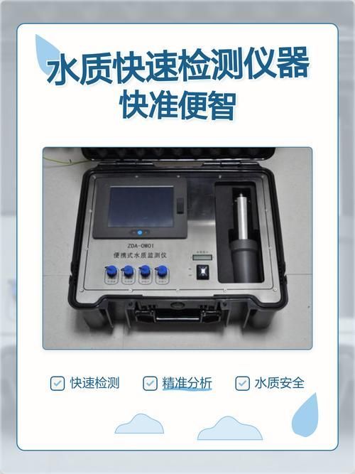 現代養龜文化有哪些新特點，現代養龜文化