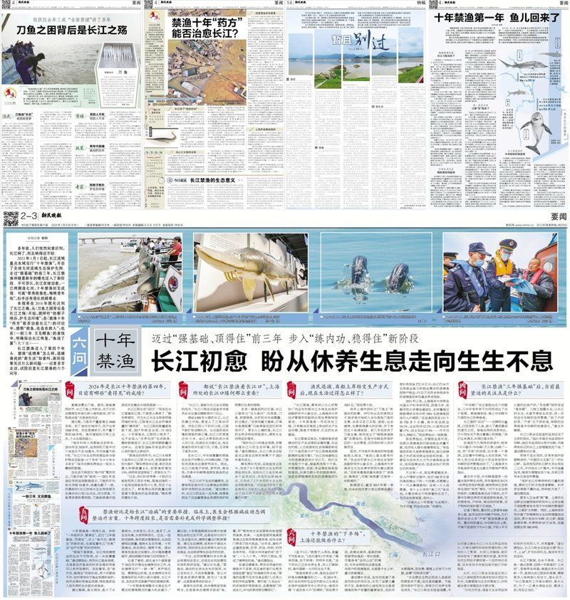 水龍魚和鱘龍魚有什么區別？，水龍魚、鱘龍魚、鱘龍魚、鱘龍魚、鱘龍魚、鱘龍魚 水龍魚和鱘龍魚有什么區別？，水龍魚、鱘龍魚、鱘龍魚、鱘龍魚、鱘龍魚、鱘龍魚 龍魚百科 第9張