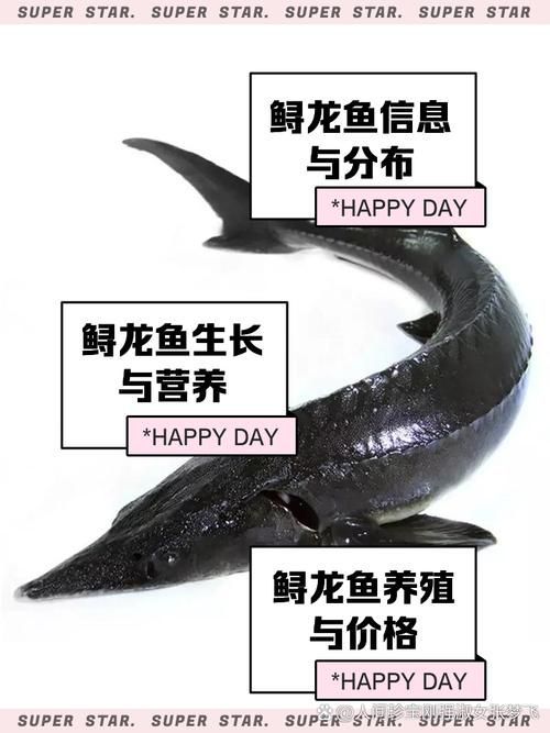 水龍魚和鱘龍魚有什么區別？，水龍魚、鱘龍魚、鱘龍魚、鱘龍魚、鱘龍魚、鱘龍魚 水龍魚和鱘龍魚有什么區別？，水龍魚、鱘龍魚、鱘龍魚、鱘龍魚、鱘龍魚、鱘龍魚 龍魚百科 第1張