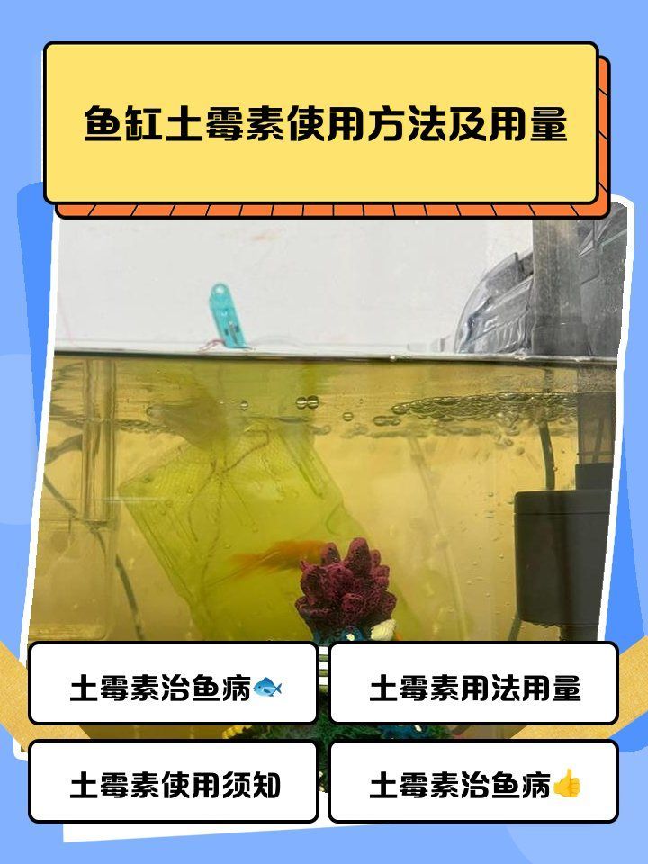 土霉素治療爛尾病多久見效，土霉素治療爛尾病有哪些副作用