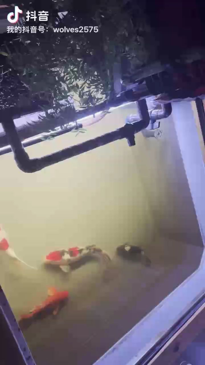 相隔數(shù)日打卡留念，“相隔數(shù)日打卡留念”的背后