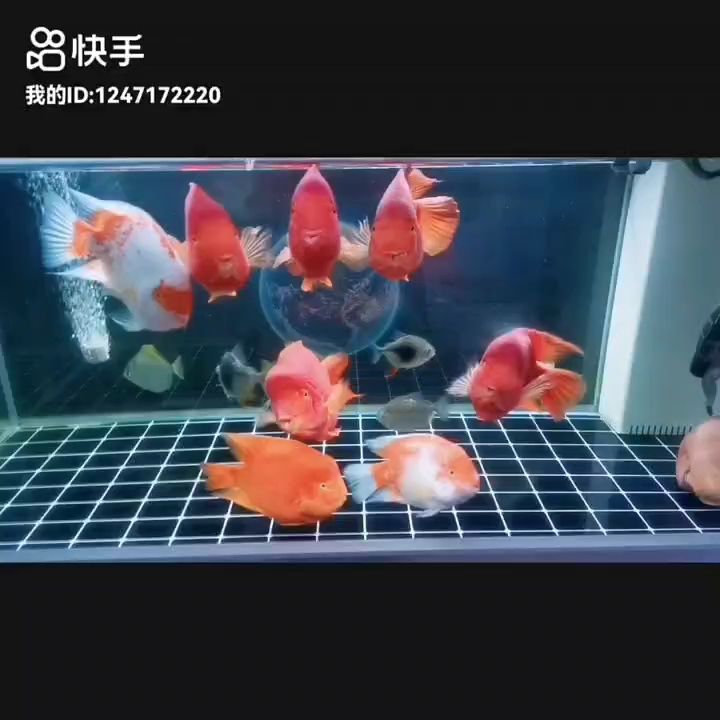 事事順遂，會越來越好，南無阿彌陀佛??????，南無阿彌陀佛是一句常見的祈愿語，意指對阿彌陀佛的無限尊敬和虔誠