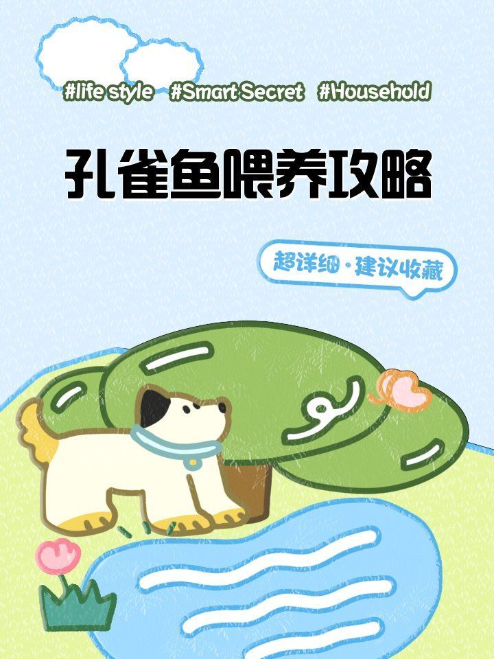 給我一些養(yǎng)孔雀魚的技巧，孔雀魚、斗魚、斗魚、斗魚、神仙魚、斗魚、神仙魚、孔雀魚