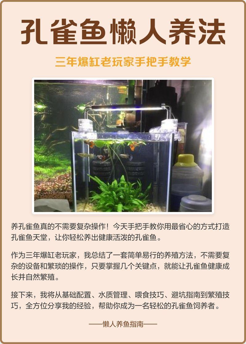 給我一些養(yǎng)孔雀魚的技巧，孔雀魚、斗魚、斗魚、斗魚、神仙魚、斗魚、神仙魚、孔雀魚