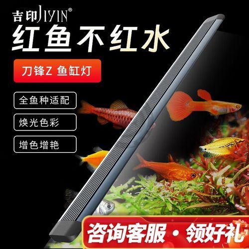 推薦幾款適合養龍魚的燈光品牌，適合養龍魚的燈具品牌