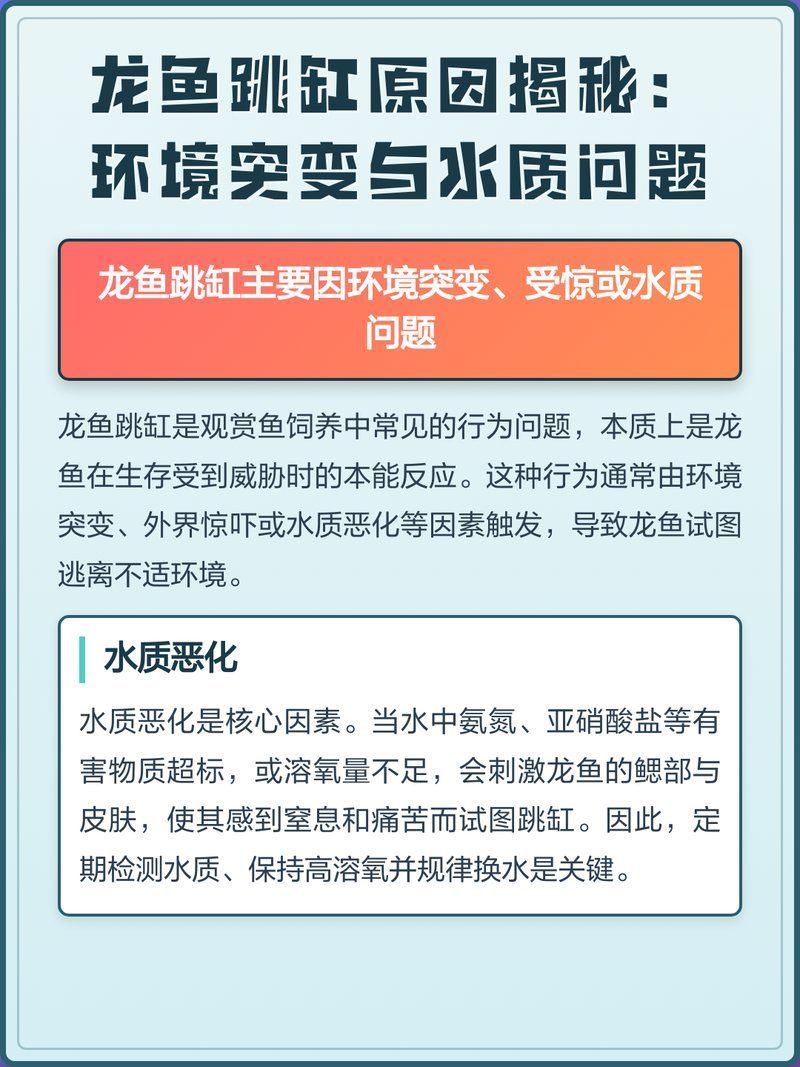 如何判斷龍魚是否需要跳缸，龍魚跳缸是否需要跳缸，龍魚跳缸的四大原因家居妙招集