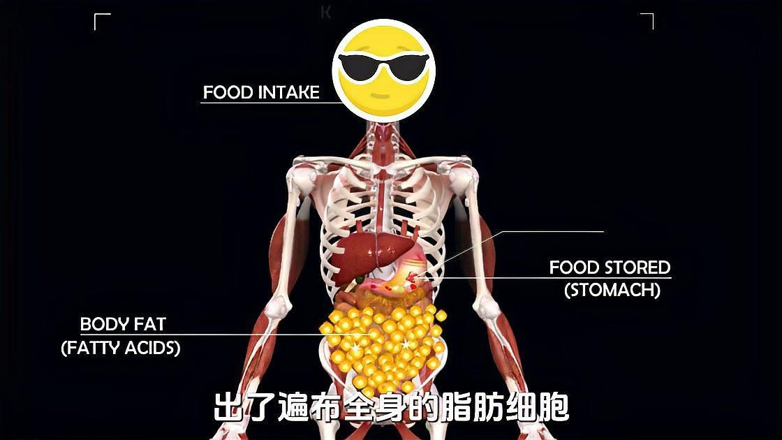 長期停食會有什么后果 長期停食會有什么后果 龍魚百科 第1張
