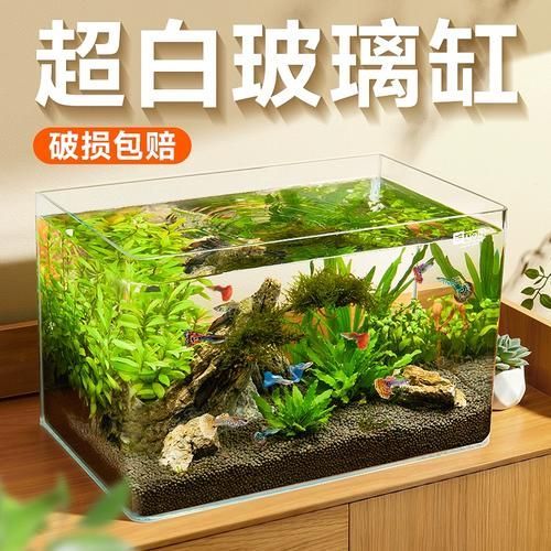 能否推薦幾款適合新手的魚缸，新手養(yǎng)魚必備魚缸推薦