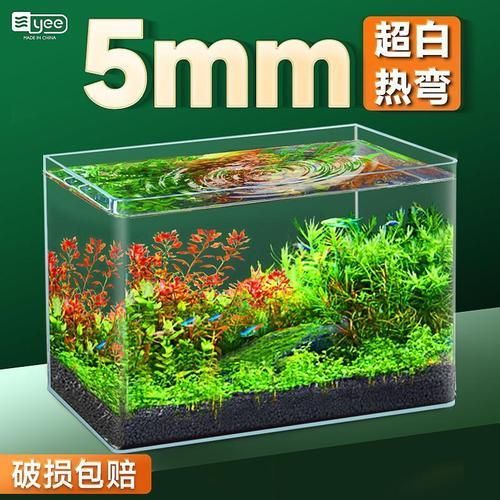 能否推薦幾款適合新手的魚缸，新手養(yǎng)魚必備魚缸推薦