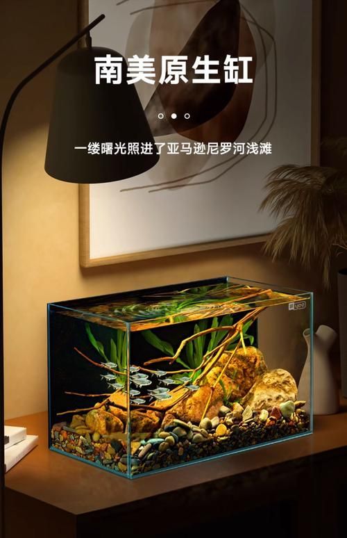 能否推薦幾款適合新手的魚缸，新手養(yǎng)魚必備魚缸推薦