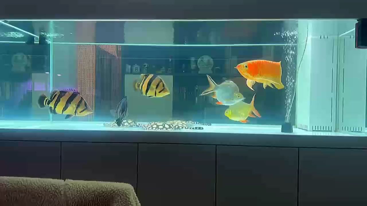 寒意，?小寒已至，愿人間不寒，溫暖常伴